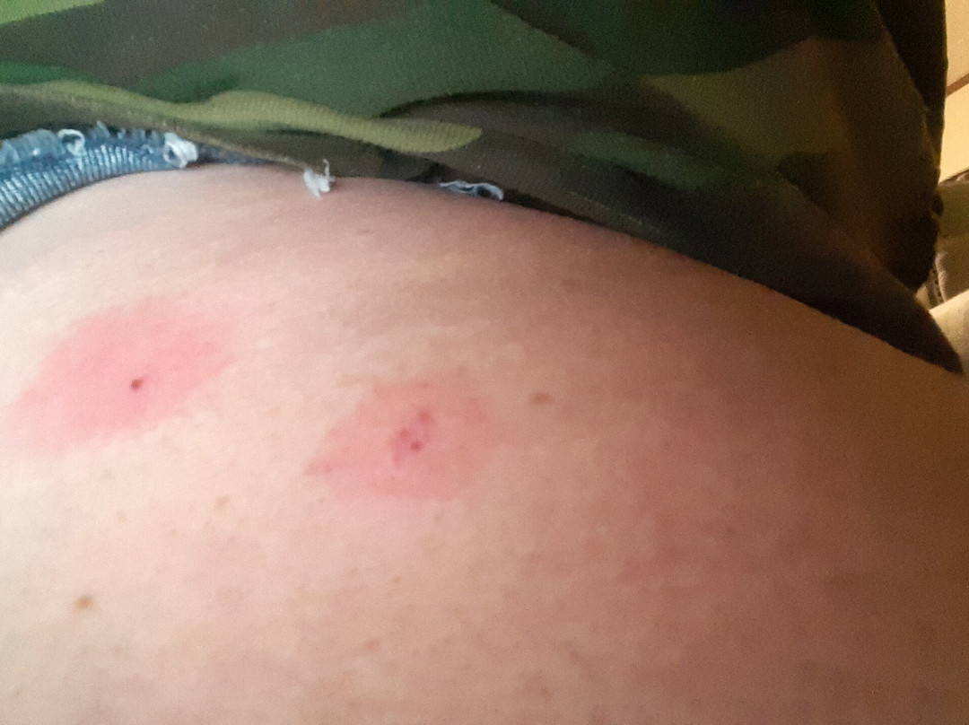 The Micanopy Inn主图