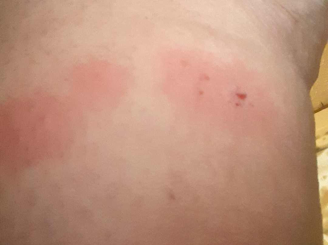 The Micanopy Inn主图