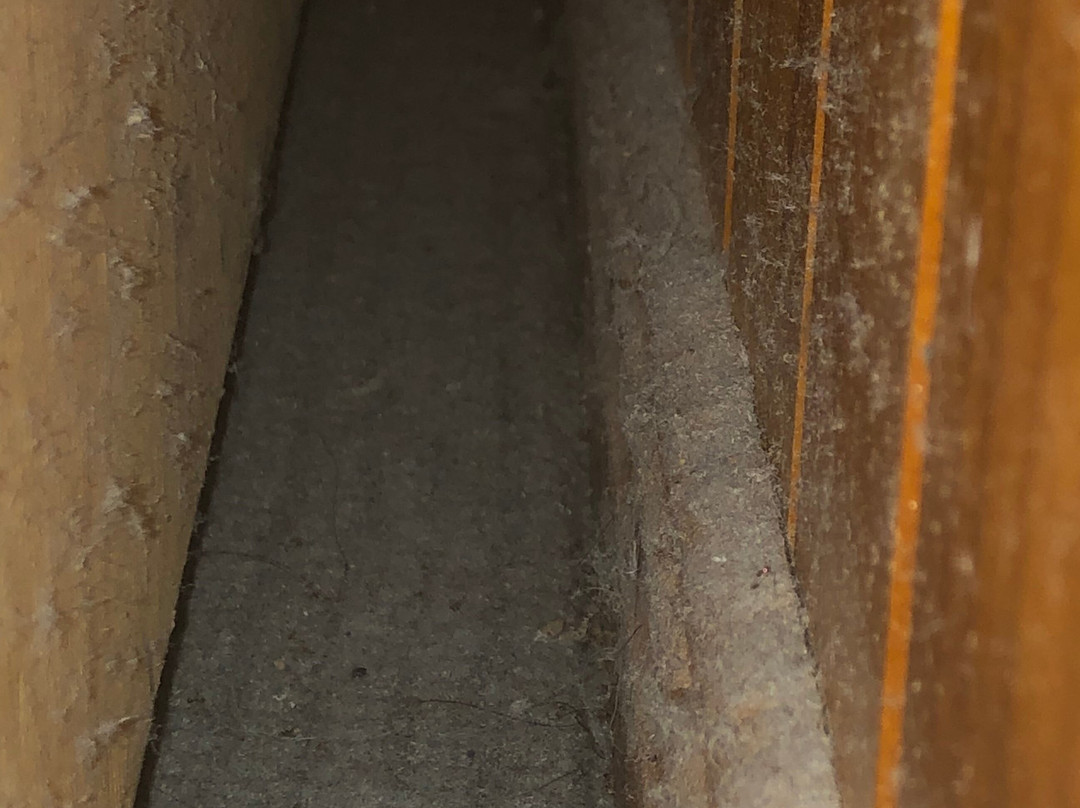 玻璃屋山生态旅馆主图