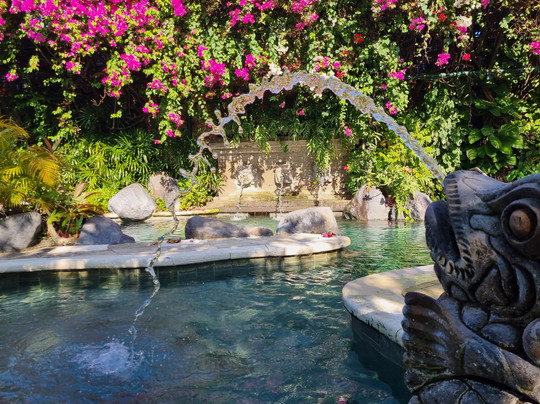 巴厘波比酒店主图