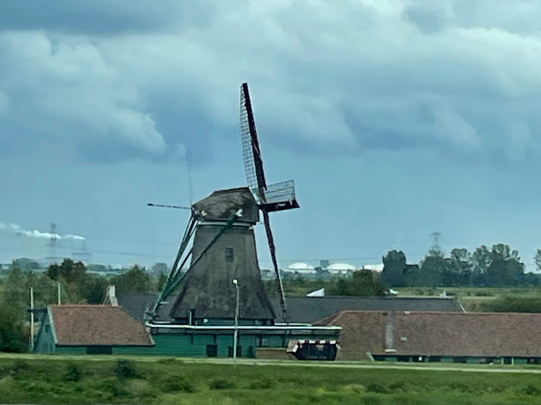 Strand Egmond aan Zee景点图片