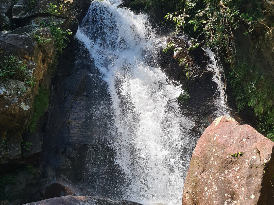 Sinharaja Kurulu Ella Eco Resort主图