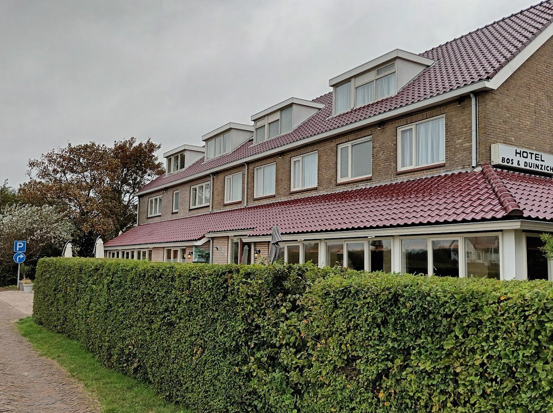 Hotel Bose en Duinzicht主图