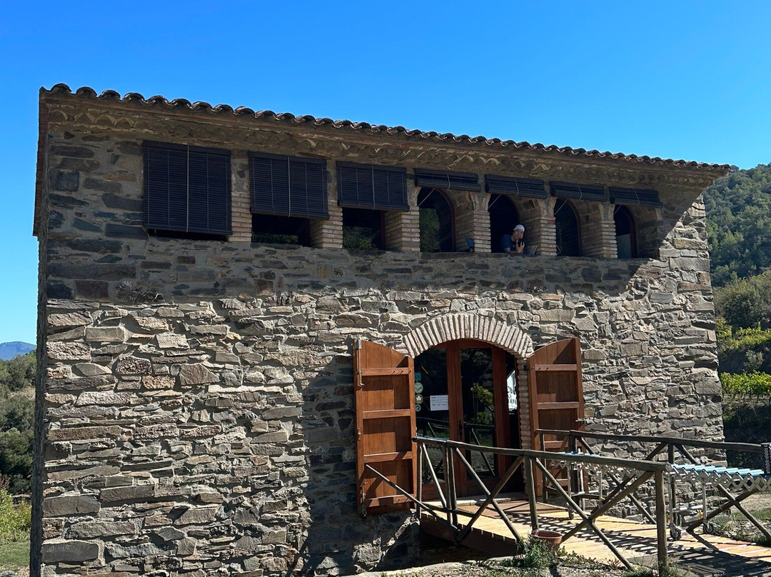 Celler Burgos Porta景点图片