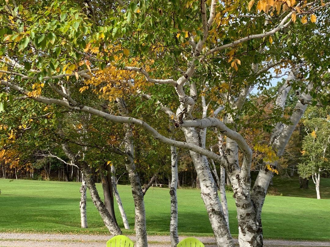 Cornerstone Motel主图