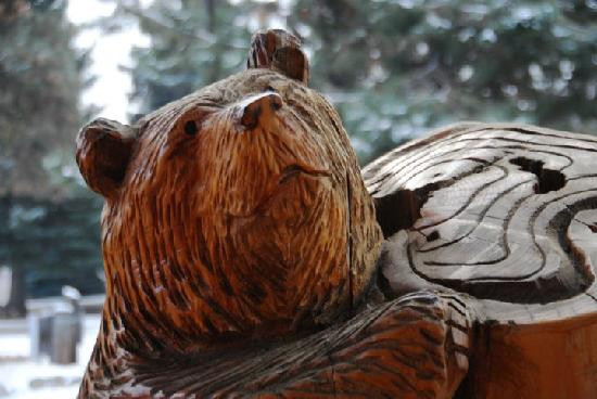 The Evergreen Hotel主图