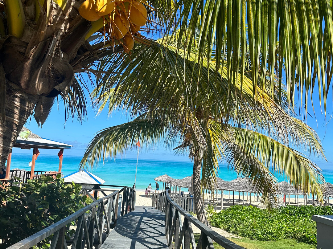 Gran Muthu Cayo Santa Maria主图