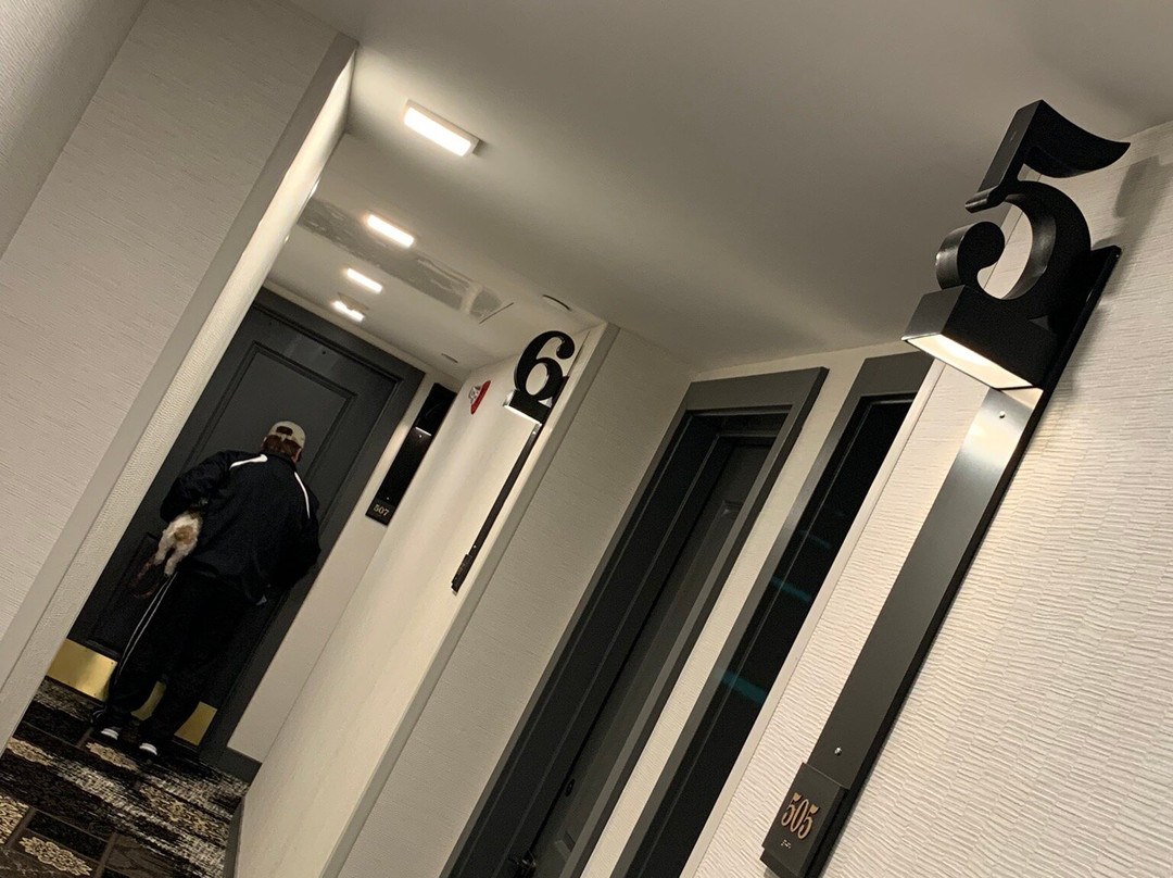 Hotel Indigo St. Louis - Downtown by IHG主图