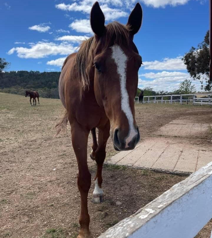 Gooree Park-马奇必去景点