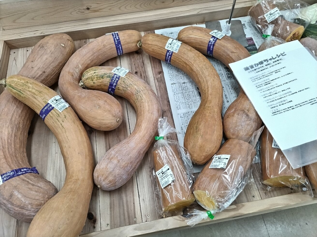 Michi-no-Eki  Ryokami Onsen Yakushi no Yu-小鹿野町必去景点