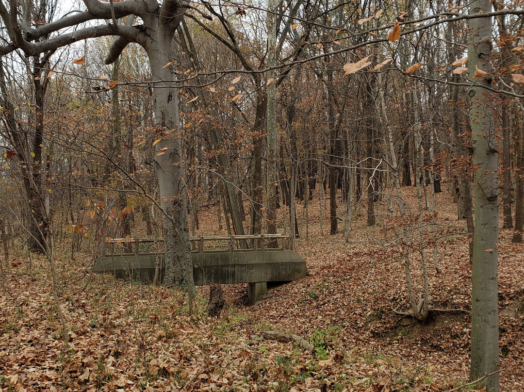 Cherokee Park-路易斯维尔必去景点