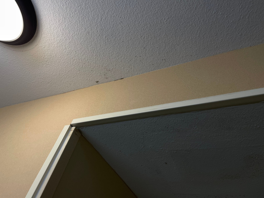 Hampton Inn & Suites Corsicana主图