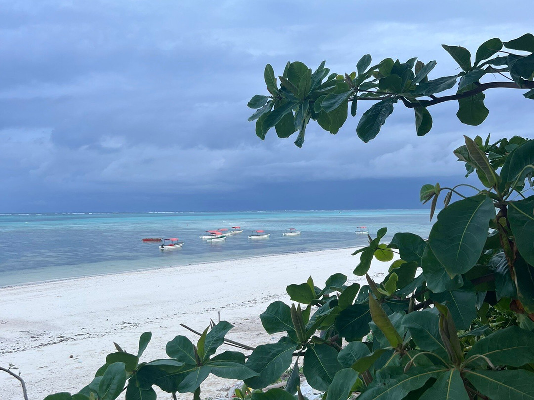Bitcoin Beach Hotel Zanzibar主图