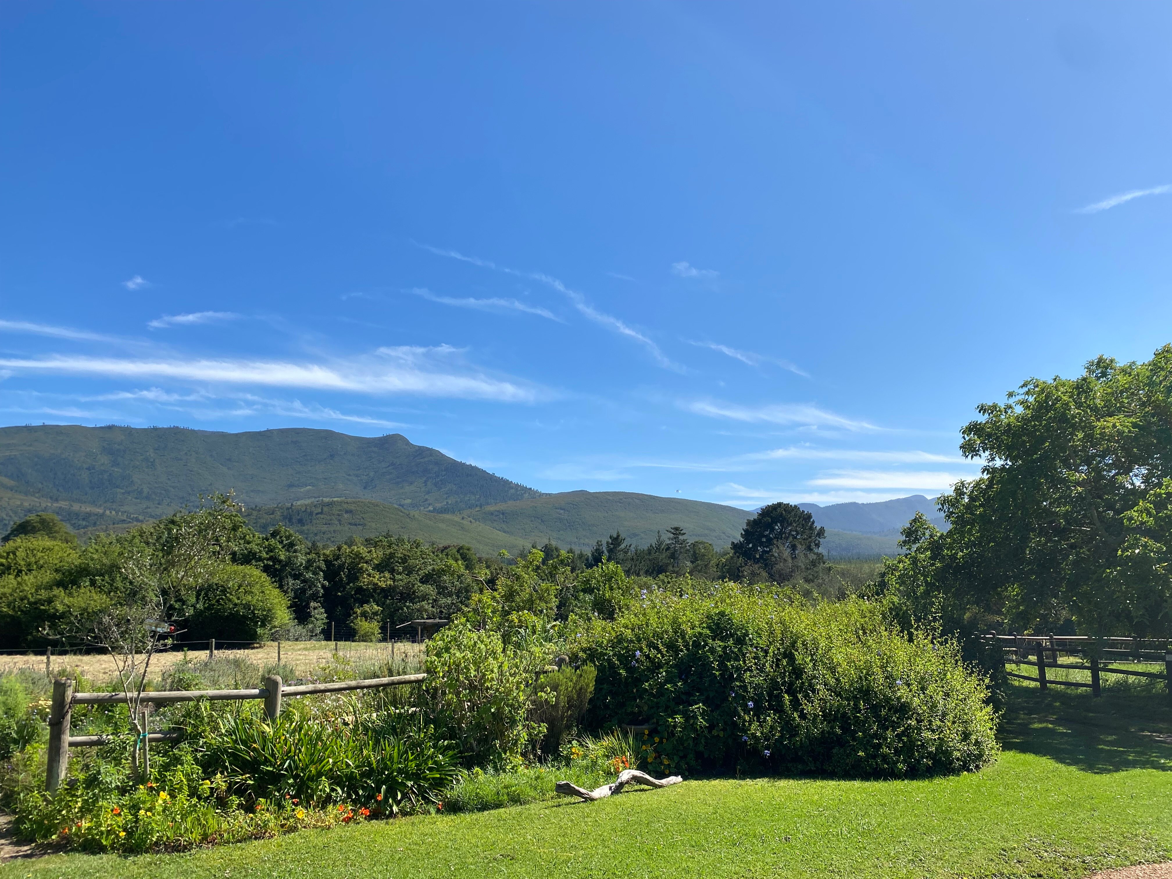 Four Fields Farm-官方