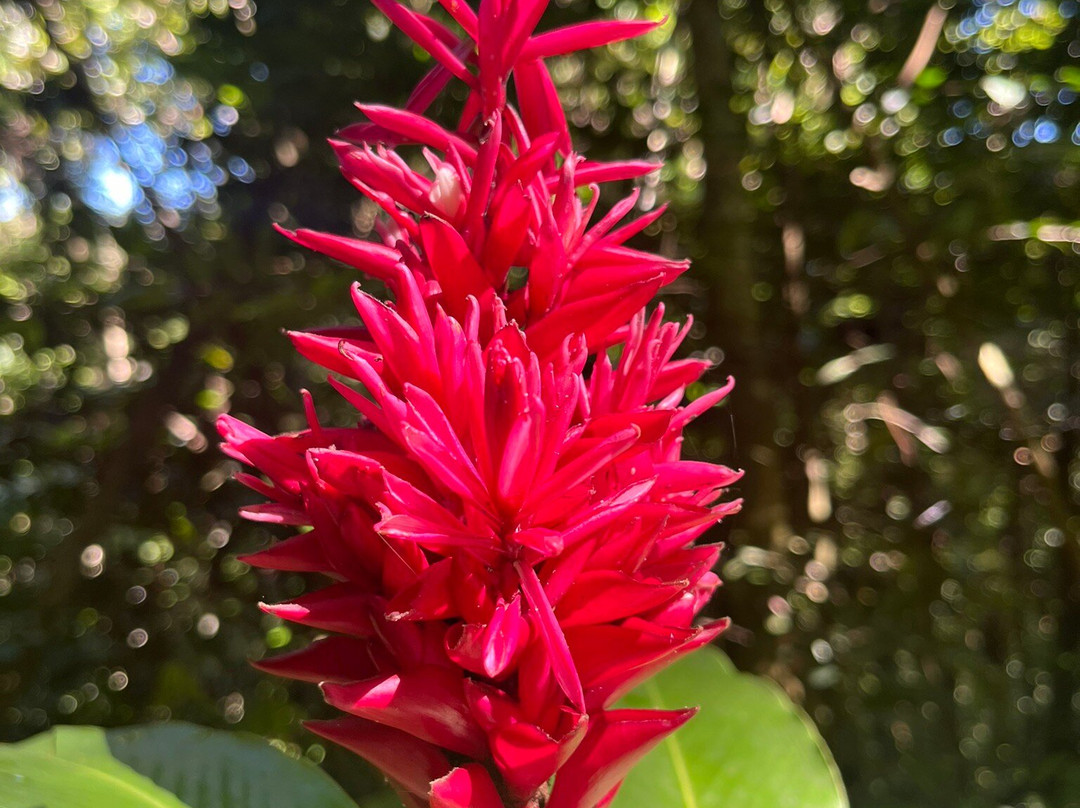 Altura-圣胡安必去景点