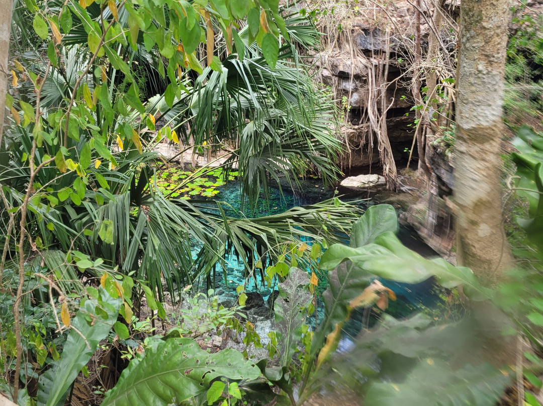 Cenotes X' Batún Y Dzombakal.-Uman必去景点