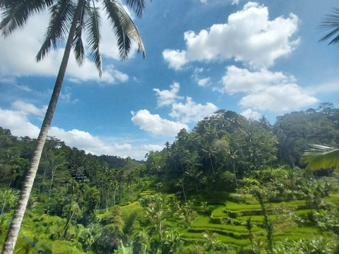 Ima Bali Tours-登巴萨必去景点