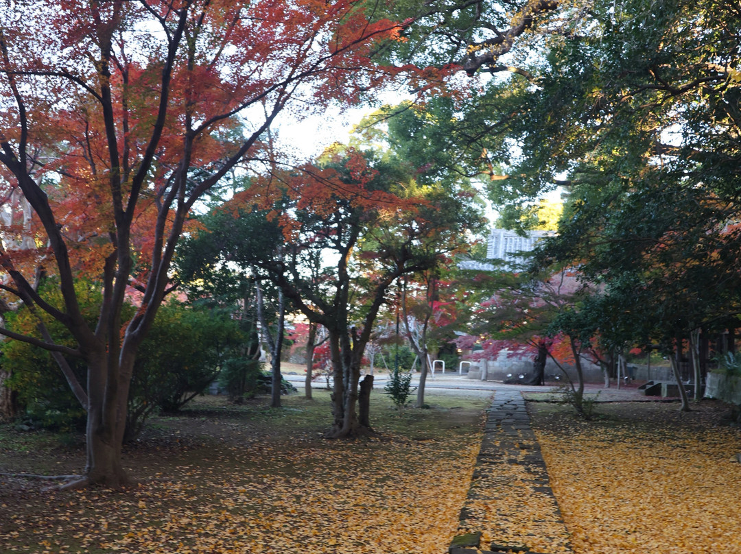Tozen-ji Temple-松户市必去景点