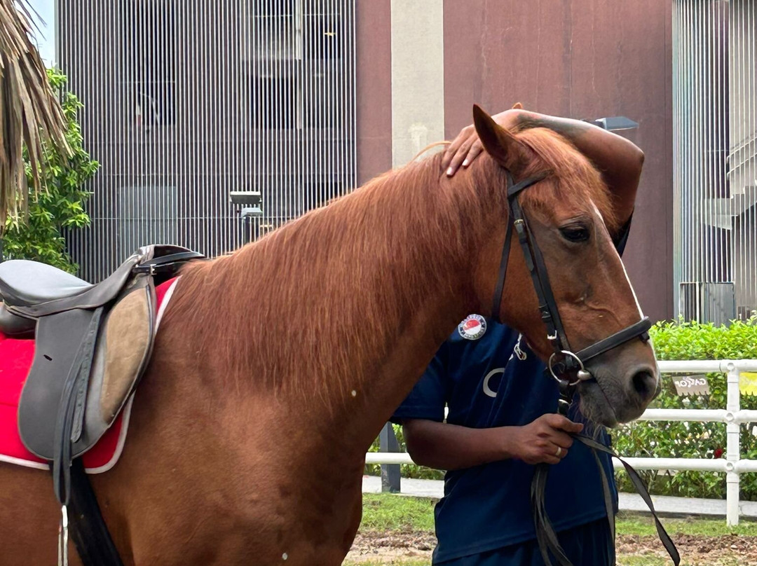 新加坡乐怡渡假村(城东)主图