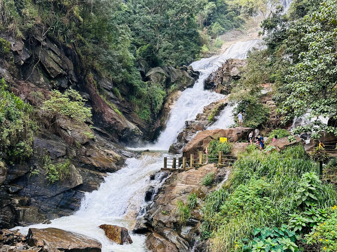 Coco Tours Colombo景点图片