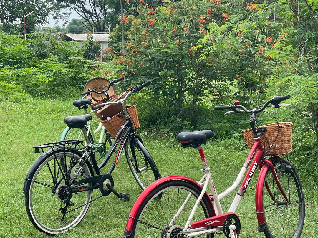 Alga Lova Tour-Yogyakarta必去景点