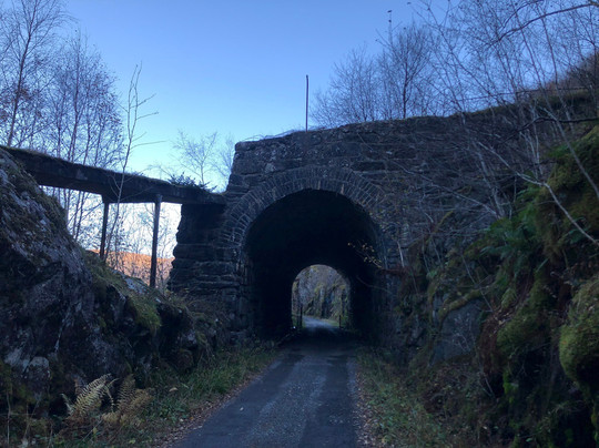 Vossebanen Rødberg–Langhelle