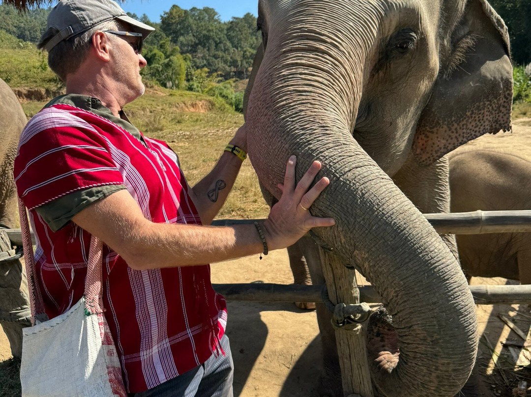 Elephant Pride Sanctuary-清迈必去景点