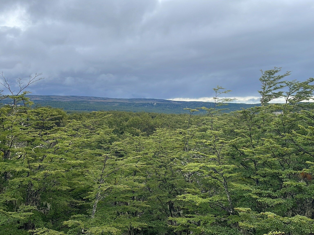 Reserva nacional Magallanes景点图片