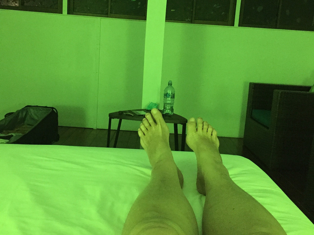 El Reinas by Sugar's Monkey主图