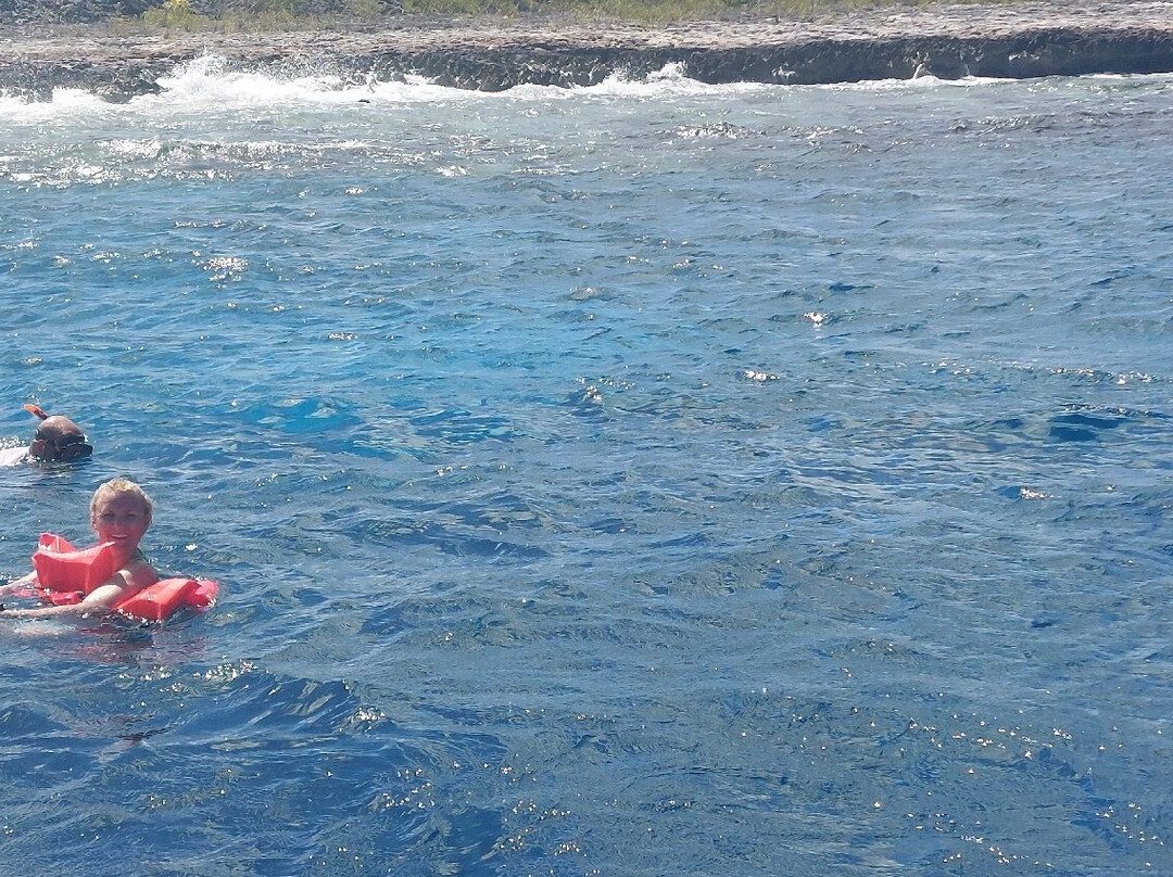 Sea Cow Snorkeling Bonaire-Kralendijk必去景点