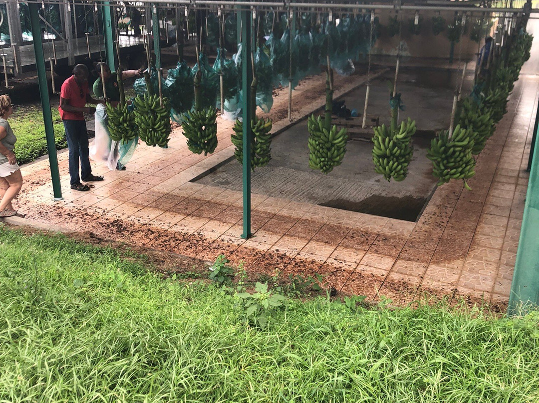 Sentier Nature Et Decouverte Chalvet-Basse-Pointe必去景点