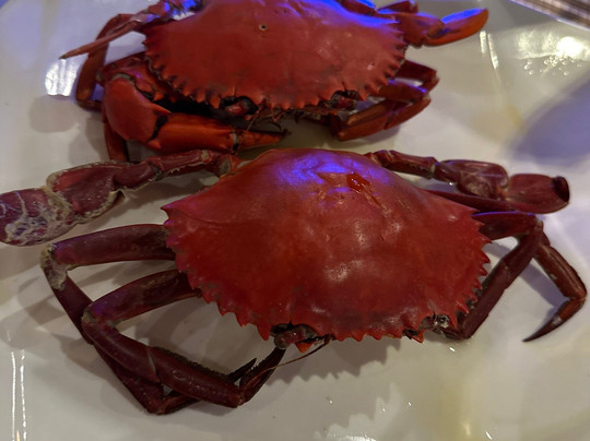 Ursula Beach Club主图