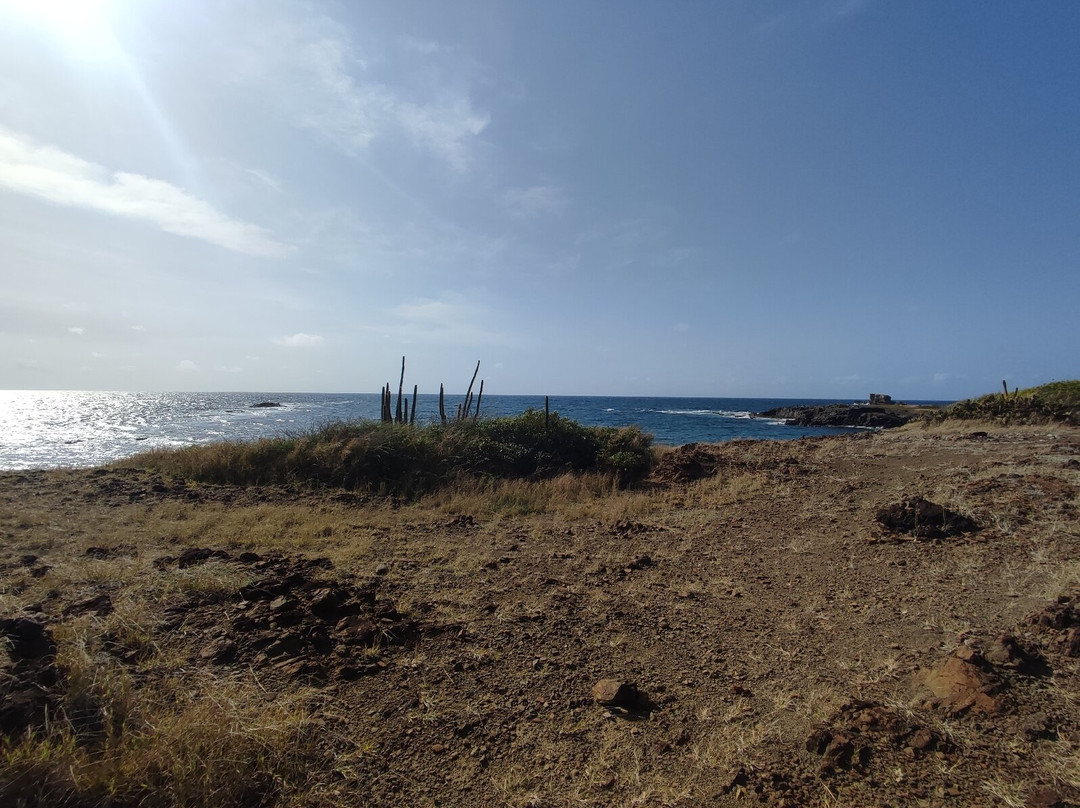 Savane Des Petrifications-Sainte-Anne必去景点