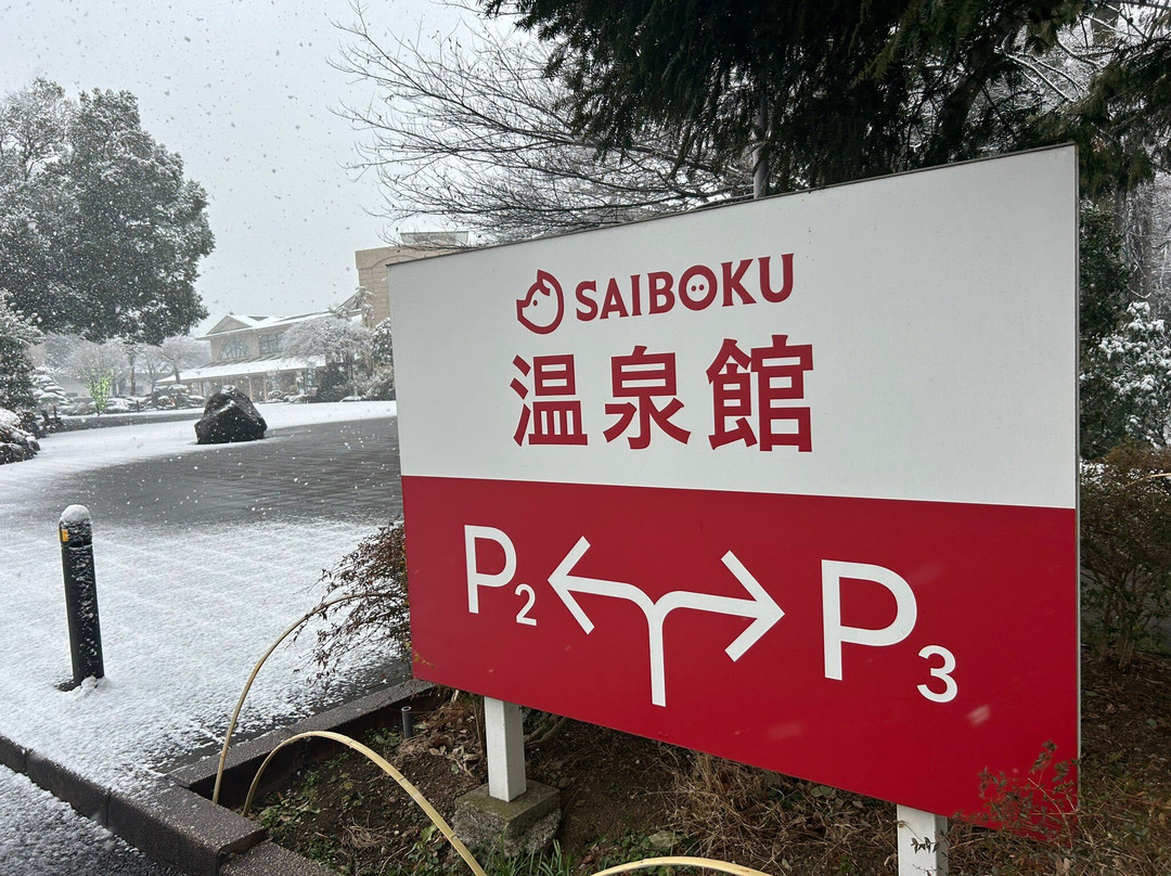 Saiboku Pork Theme Park景点图片