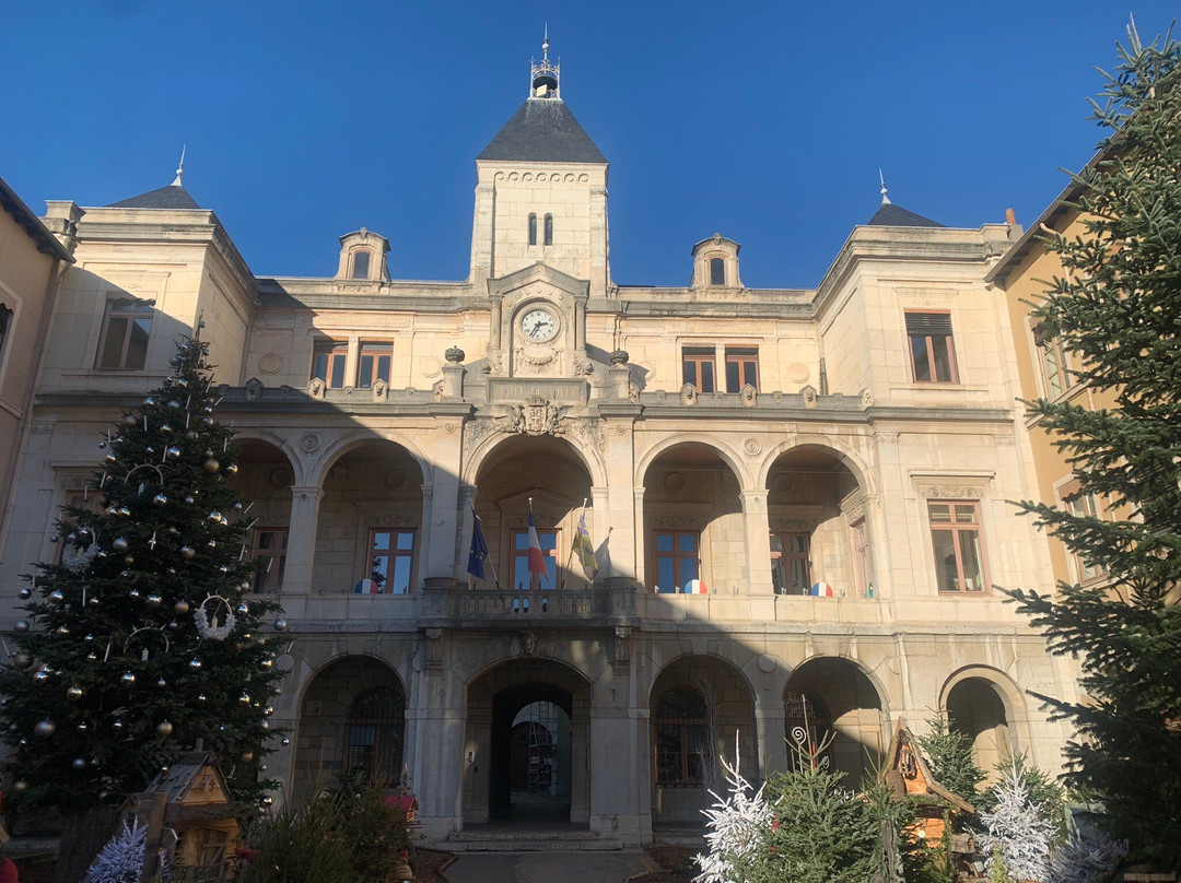 Vienna City Hall-维埃纳必去景点