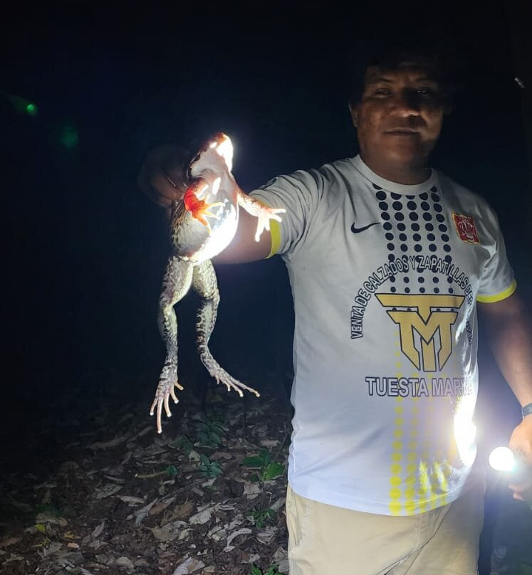 Kambo Jungle Expeditions-伊基托斯必去景点