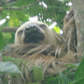 NatureExplorerGal
