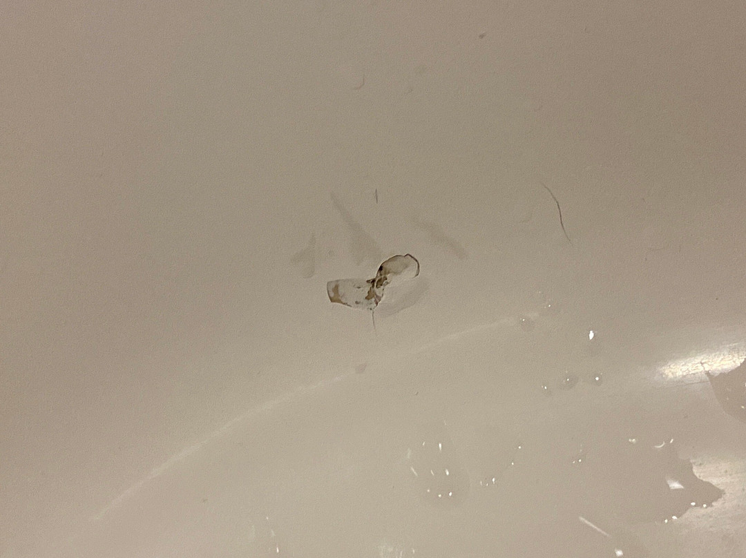 Quality Inn Calvert City - Paducah East主图