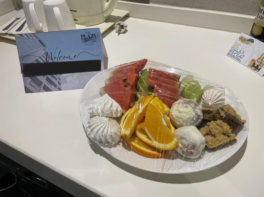 The Plaza Lodge Baguio主图