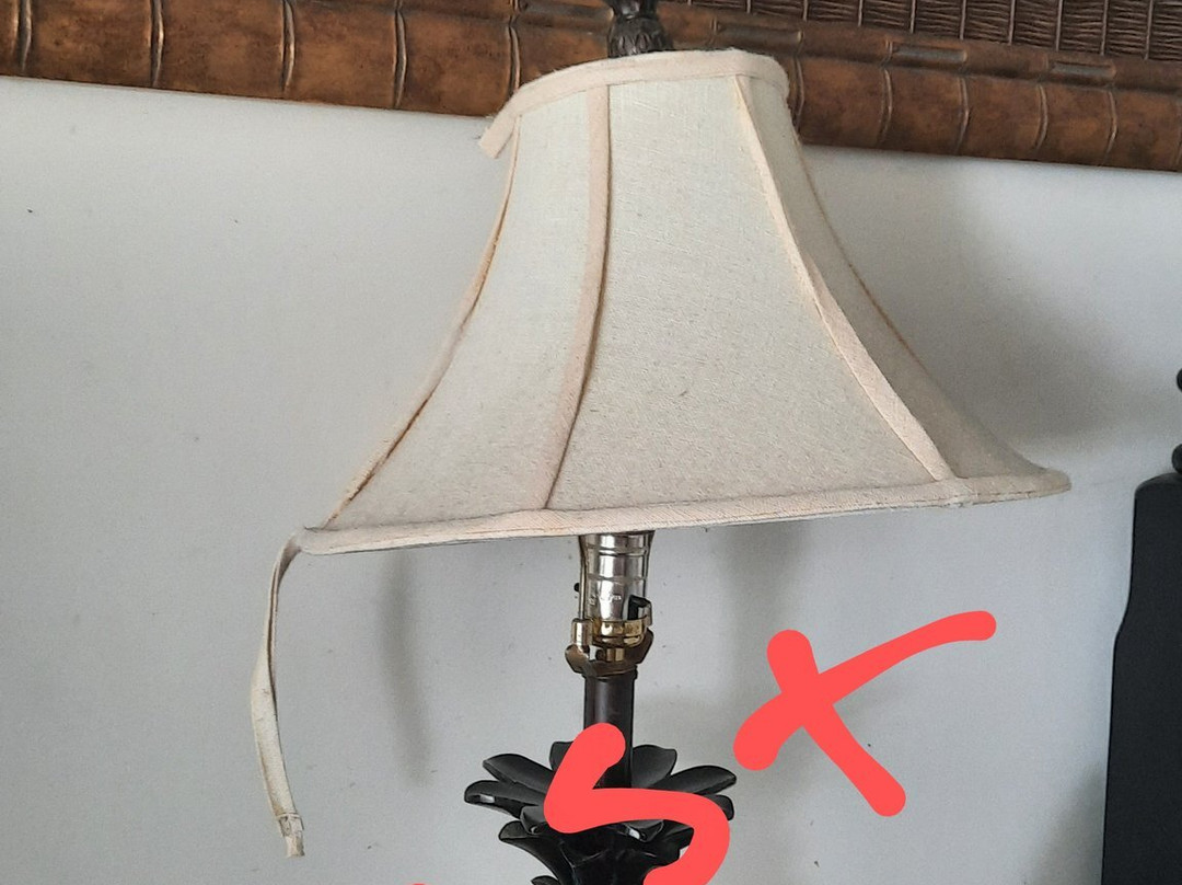 Hotel Coral Reef Resort主图