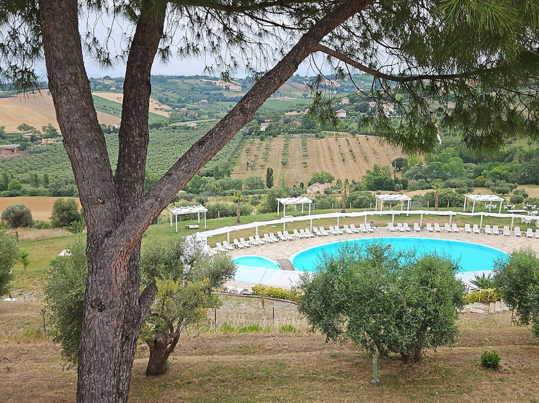 卡萨布兰卡酒店主图