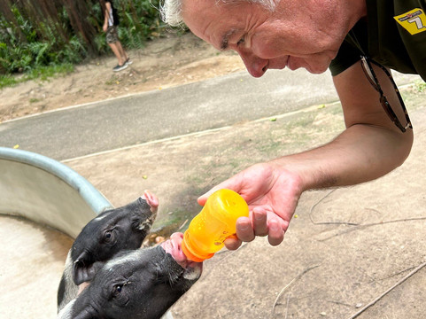 Hua Hin Safari-华欣必去景点