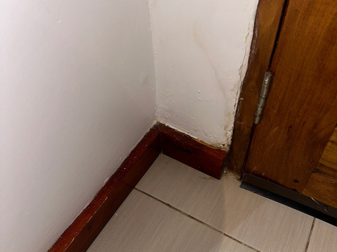 Nungwi Dreams By Mantis主图