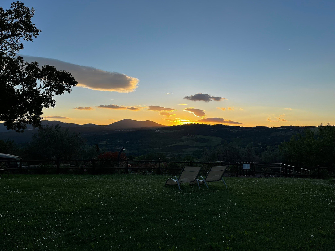 Agriturismo Poggio al Sole主图