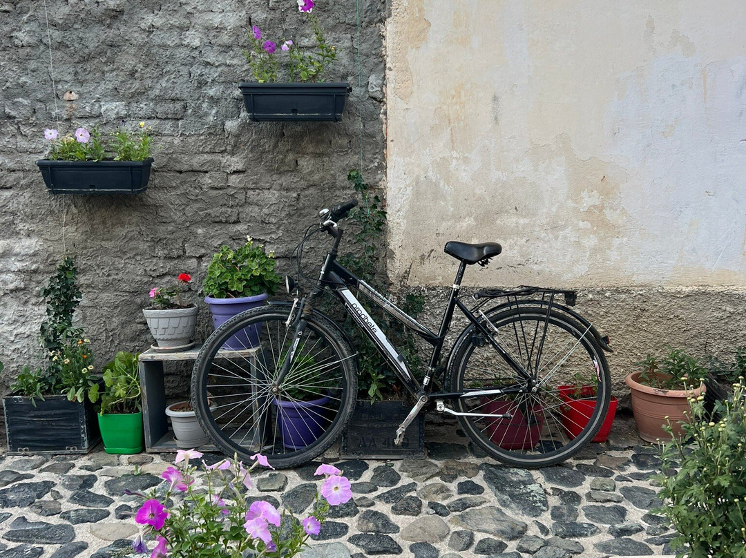 Korca Old Bazaar-Korce必去景点