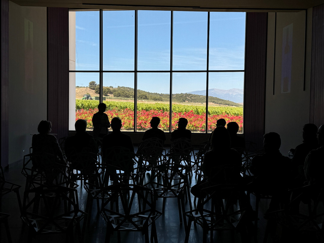 Bodegas Aragonesas - Bodegas Aragonesas Multicanal S.l.-Fuendejalon必去景点