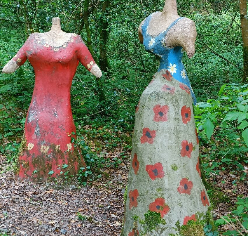 Pettigo Walk Forest Stroll景点图片