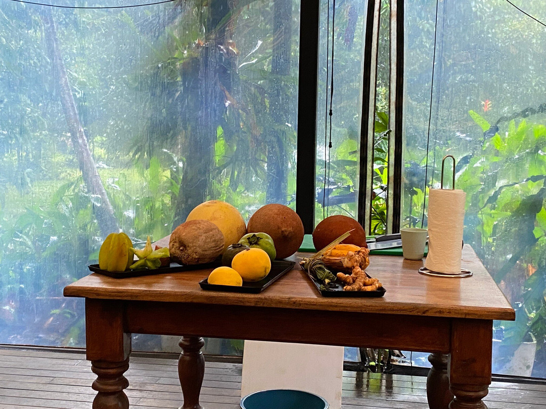 Cape Trib Farm-Cape Tribulation必去景点