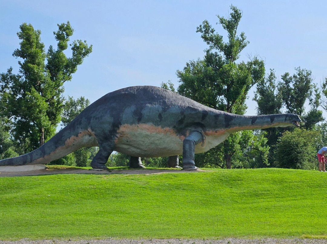 Parco Della Preistoria景点图片