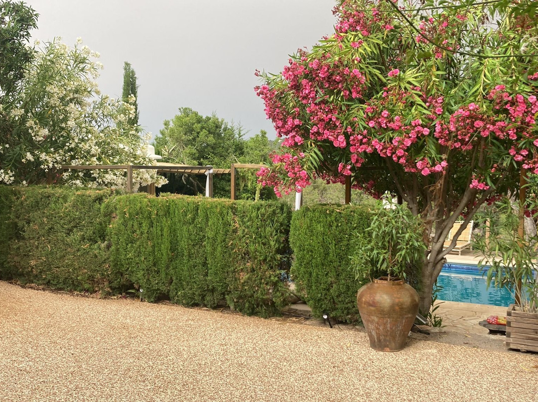 Agroturismo Ca Sa Vilda Marge主图